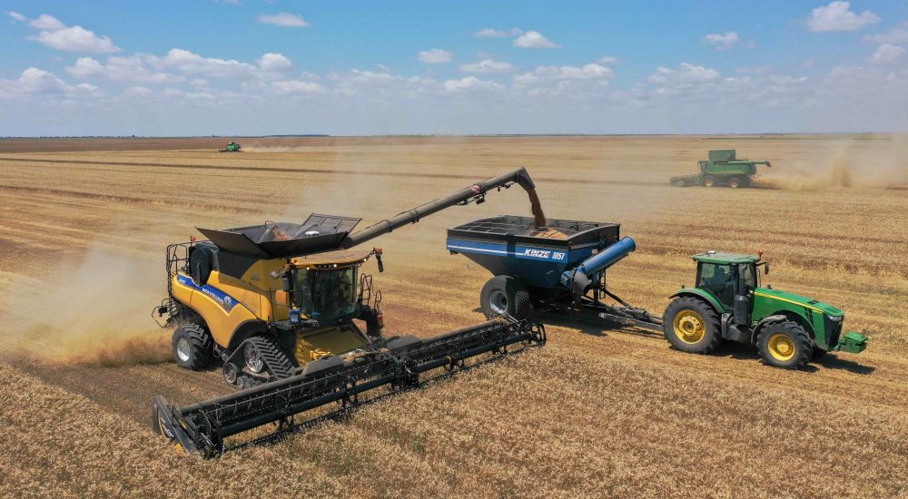 Holde Agri Invest raportează venituri totale de 80 de milioane de lei în primele nouă luni din 2024