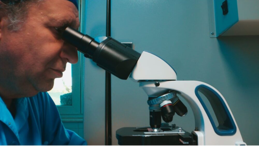 Norofert încheie primele nouă luni cu o creștere a profitului net de 24%